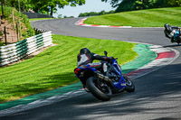 cadwell-no-limits-trackday;cadwell-park;cadwell-park-photographs;cadwell-trackday-photographs;enduro-digital-images;event-digital-images;eventdigitalimages;no-limits-trackdays;peter-wileman-photography;racing-digital-images;trackday-digital-images;trackday-photos